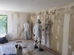 Best Mold Removal for HVAC Installations  in Bonners Ferry, ID